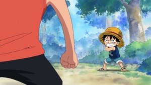 One Piece: Season 13 Episode 457