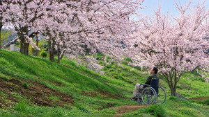 HANA-BI movie still 77