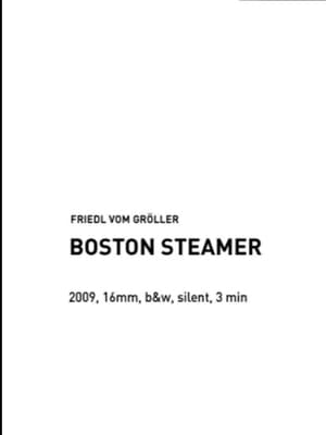 Boston Steamer