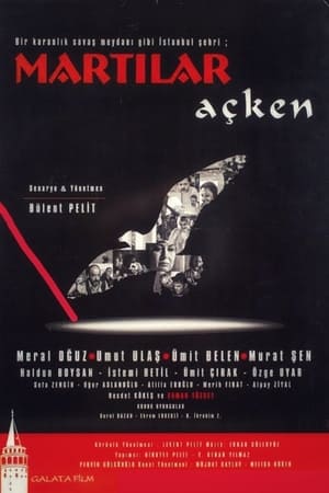 Poster Martılar Açken 2003