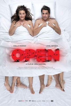 Poster Open (2018)