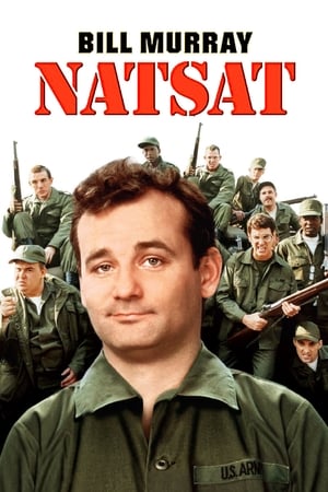 Natsat (1981)