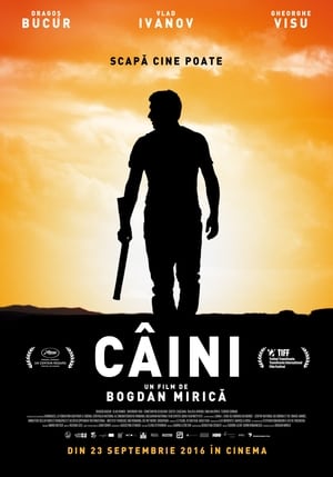 Câini 2016