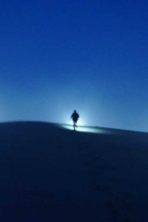 Image The way back home