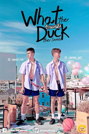 What the Duck