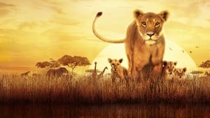 poster Serengeti