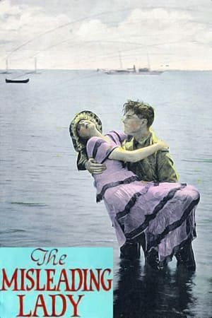 Poster The Misleading Lady (1920)