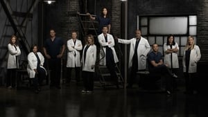 Grey’s Anatomy (2021) Season 18