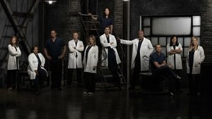 poster Grey's Anatomy