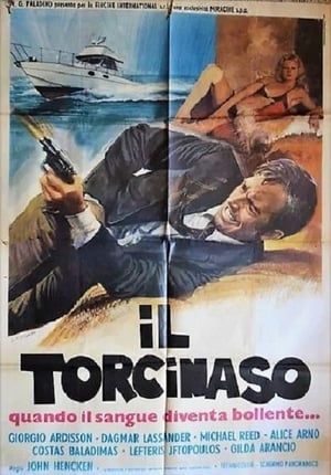 Poster Il torcinaso 1975