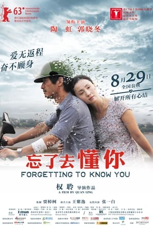 Poster 忘了去懂你 2013