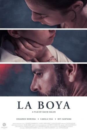Poster La Boya 2019