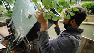 Narrow Escapes Episode 10