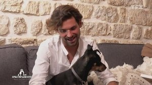 Dating with dogs : L'Amour, mon Chien et Moi Season 1 : Episode 1 