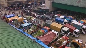 The Philippine Serpentines