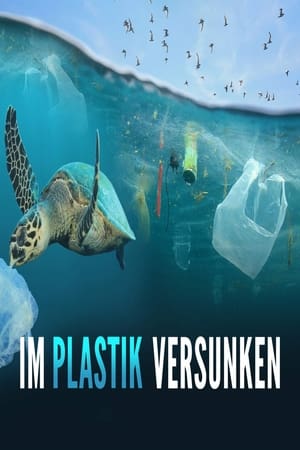 Im Plastik versunken