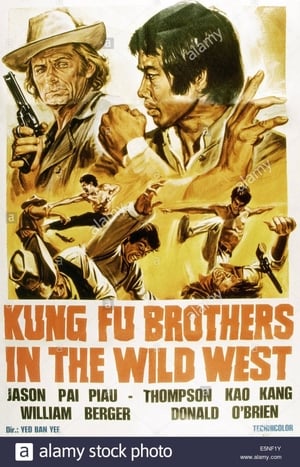 Poster Kung Fu Brothers in the Wild West 1973