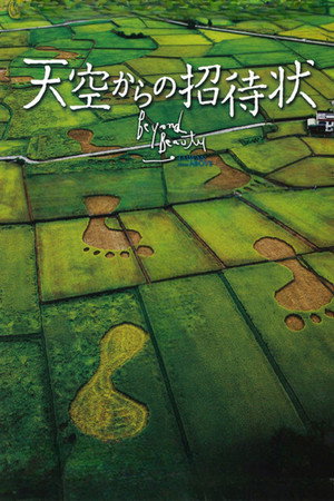 Beyond Beauty: Taiwan from Above 15
