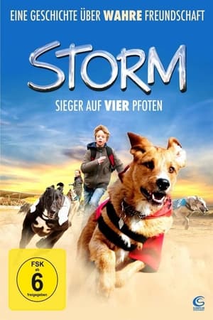 Image Storm - Sieger auf vier Pfoten