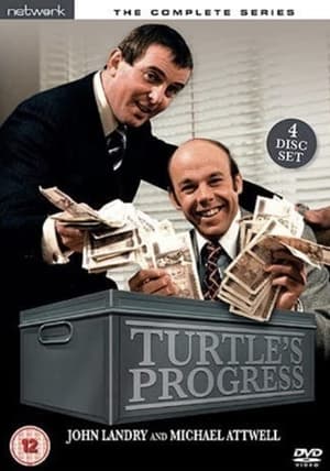 Turtle's Progress 1980