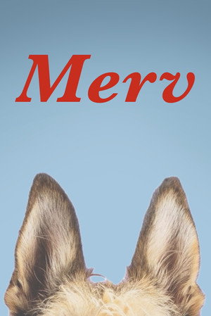 Merv 45