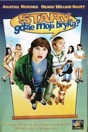 Stary, gdzie jest moja bryka? 2000