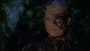 Star Trek : Voyager - Star Trek : Voyager - Saison 6 - Instinct de survie - image n°1