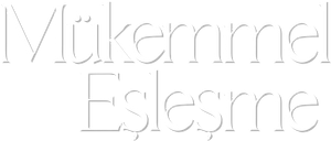 Mükemmel Eşleşme