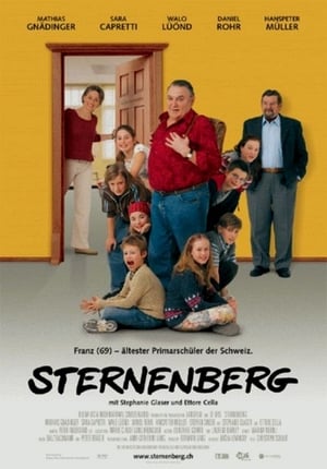 Poster Sternenberg 2004