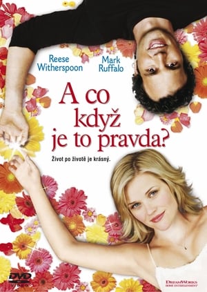 Poster A co když je to pravda? 2005