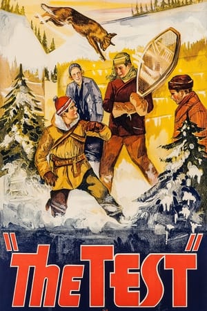 Poster The Test (1935)