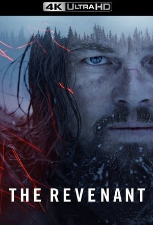 poster The Revenant
