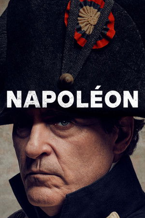 poster Napoleon