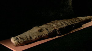 Aliens and Strange Creatures