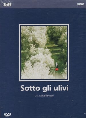 Sotto gli ulivi