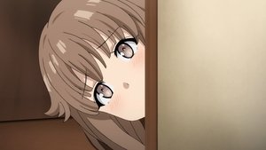 Rascal Does Not Dream of Bunny Girl Senpai Complex Congratulations