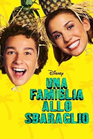 Poster Una famiglia allo sbaraglio 2003