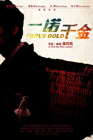 Poster Fool‘s Gold (2014)