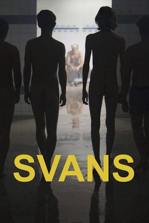 Swans 10