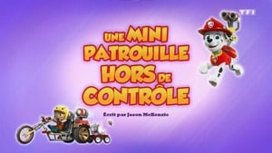 Paw Patrol Helfer auf vier Pfoten: 5×32