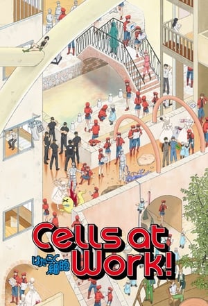 Cells at Work!: Extras