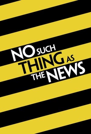 Poster No Such Thing as the News 2016