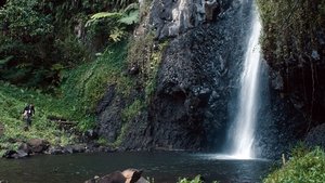 Gauguin, viaje a Tahití