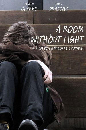 A Room Without Light