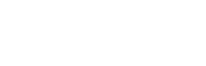 柳叶摘星辰 — Logos 3