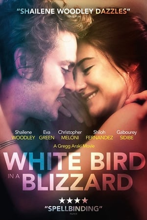 Click for trailer, plot details and rating of White Bird In A Blizzard (2014)