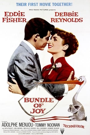 Poster Bundle of Joy 1956