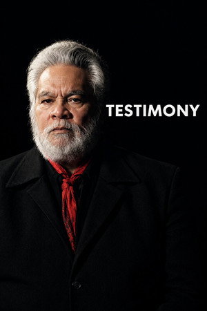 Testimony's Poster