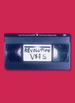 Poster Révolution VHS 2017