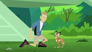 Wild Kratts Adapto the Coyote